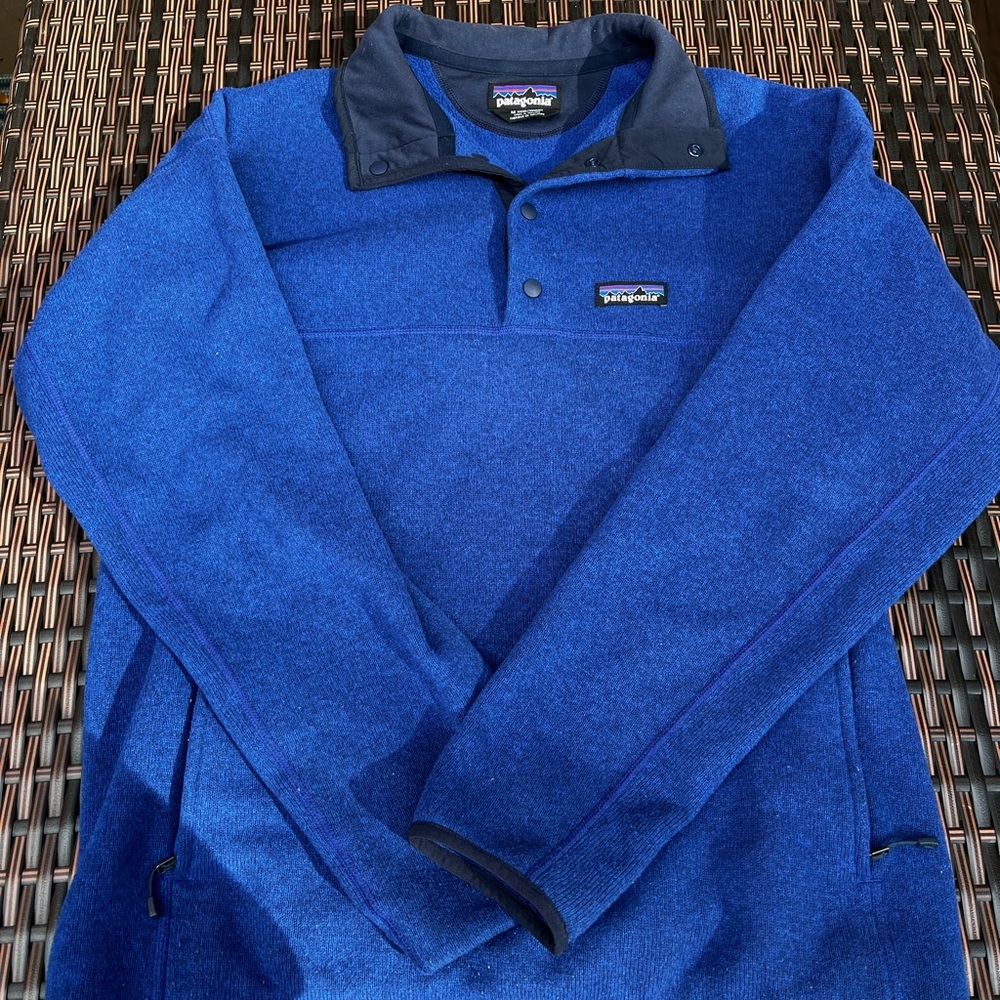 Blue Patagonia Fleece Pullover